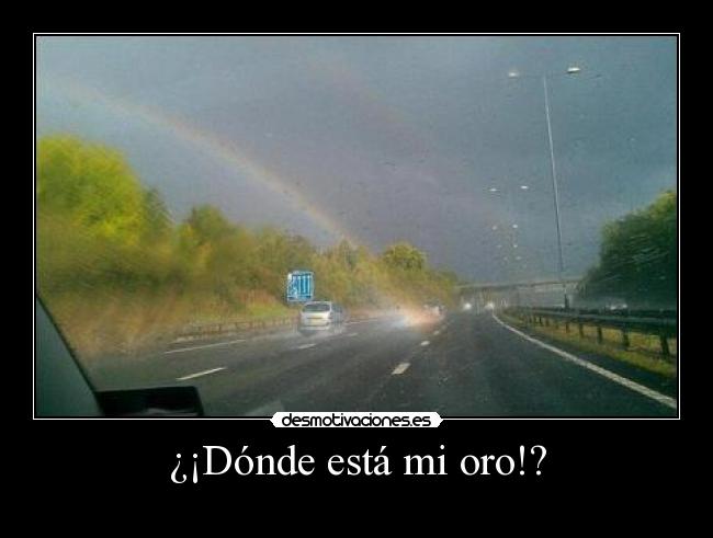 ¿¡Dónde está mi oro!? - 