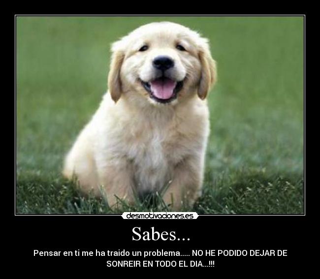 Sabes... -
