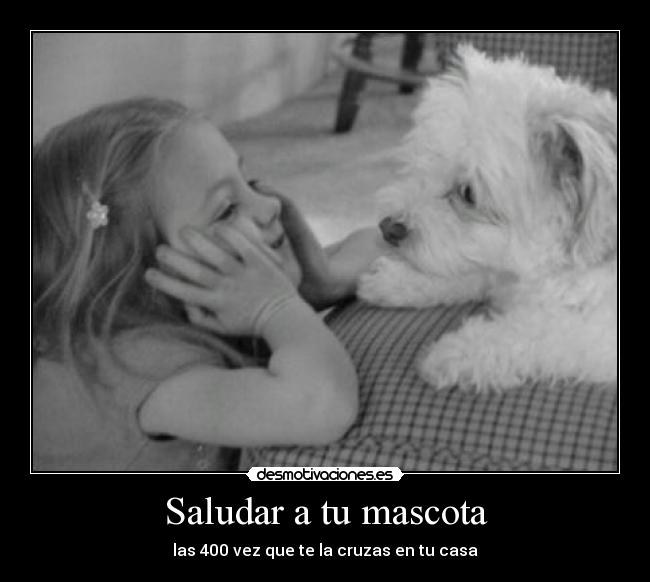 Saludar a tu mascota -