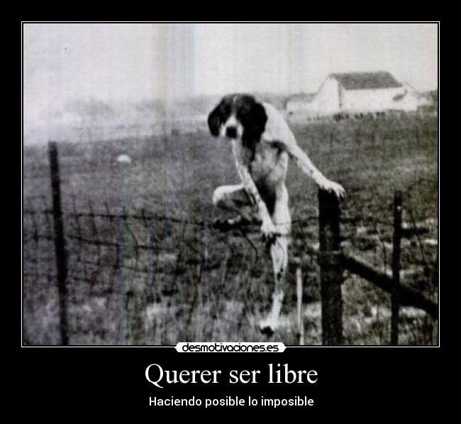 Querer ser libre - Haciendo posible lo imposible