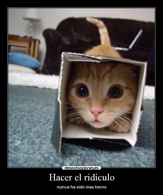 Hacer el ridículo - 