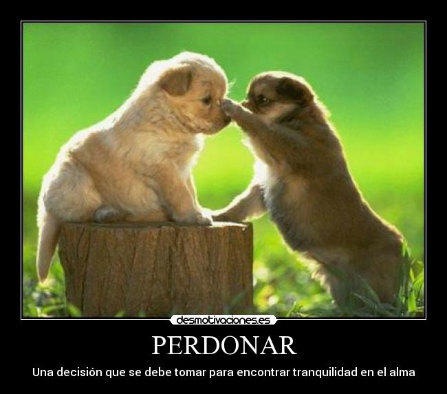 PERDONAR -