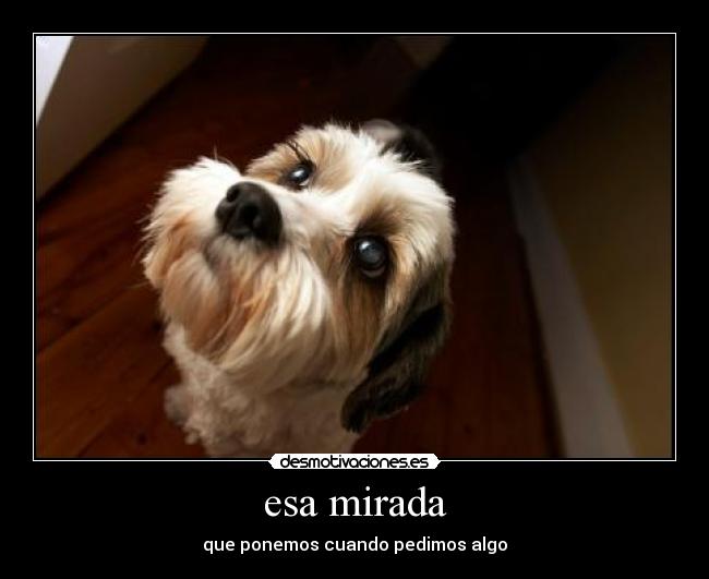 esa mirada - 