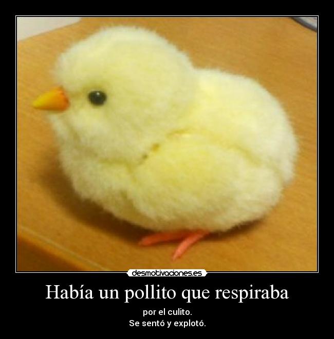 Había un pollito que respiraba - 