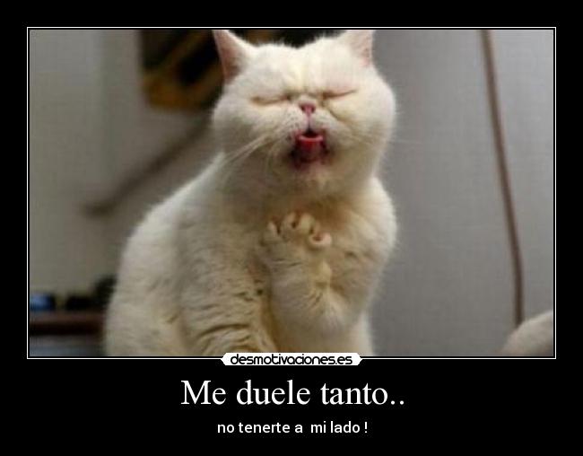 Me duele tanto.. -