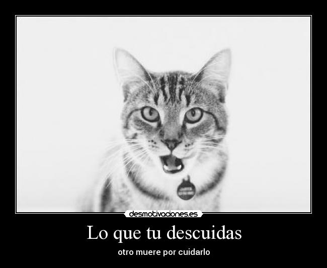 Lo que tu descuidas -