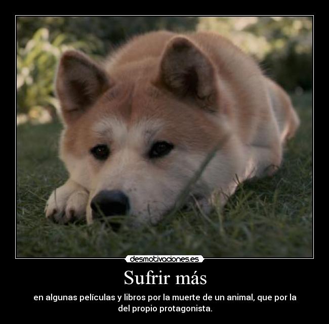 Sufrir más - en algunas películas y libros por la muerte de un animal, que por la
del propio protagonista.