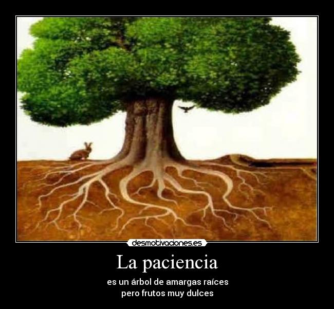 La paciencia -