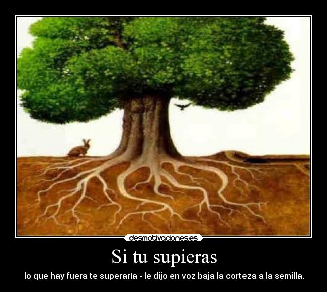 Si tu supieras - lo que hay fuera te superaría - le dijo en voz baja la corteza a la semilla.