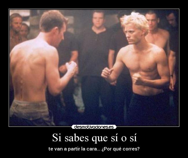 Si sabes que sí o sí -