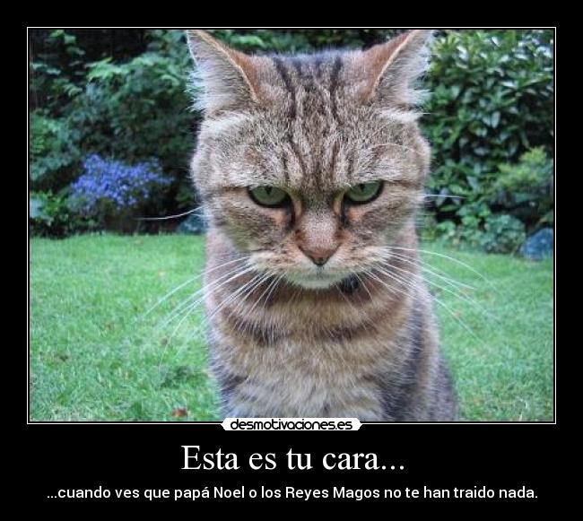 Esta es tu cara... -