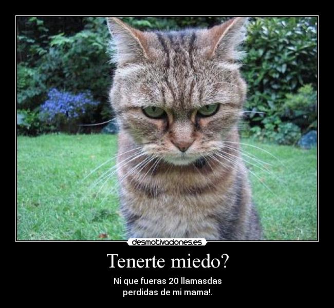 Tenerte miedo? - Ni que fueras 20 llamasdas
perdidas de mi mama!.