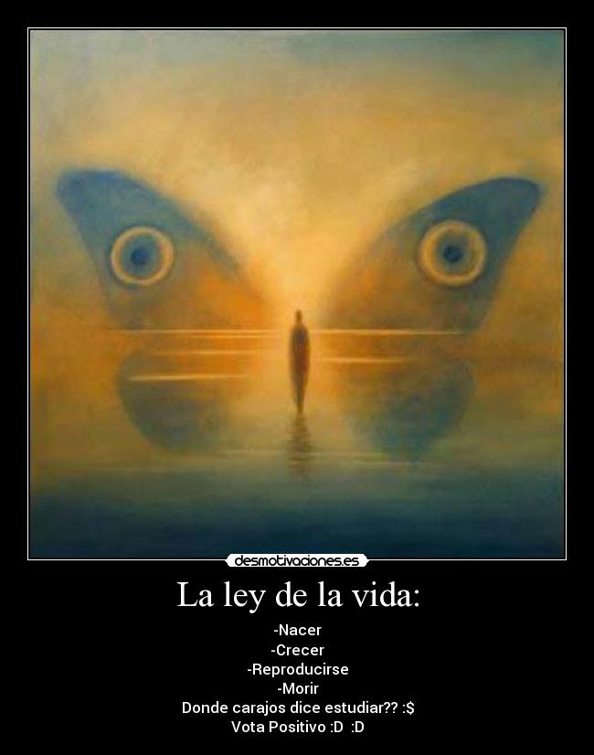 La ley de la vida: - 