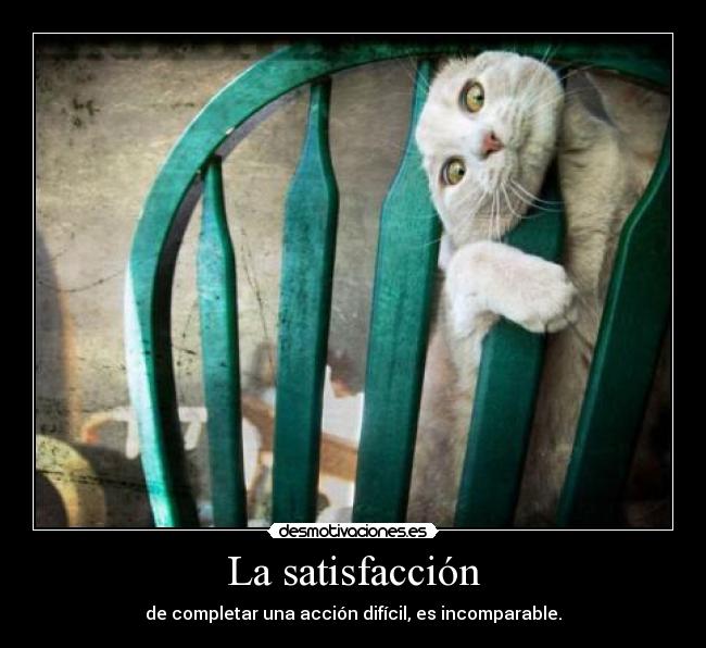 La satisfacción - de completar una acción difícil, es incomparable.