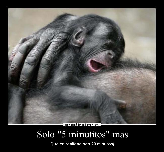 Solo 5 minutitos mas - 