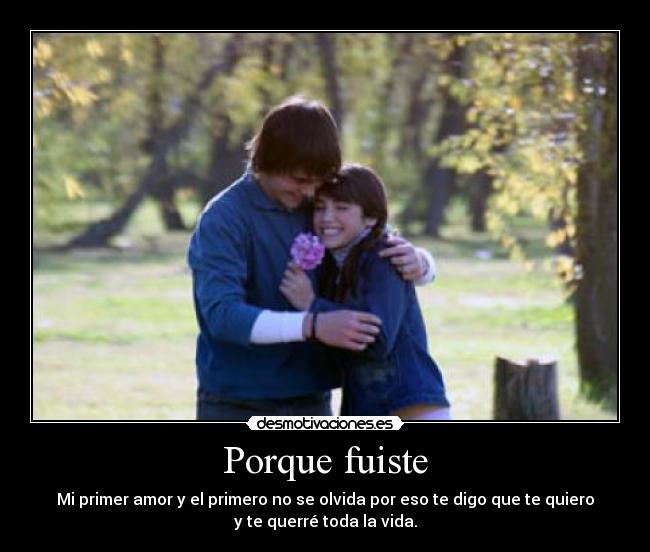 carteles porque fuiste desmotivaciones