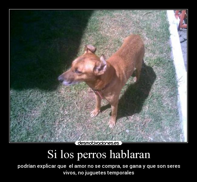 carteles perros humanos perrohumanos mutaciones similares desmotivaciones