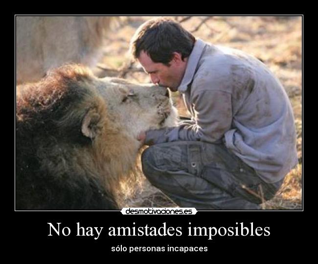 No hay amistades imposibles - sólo personas incapaces