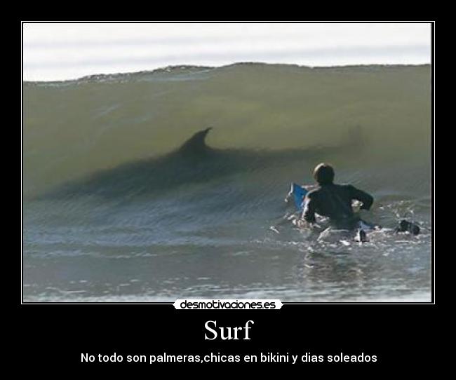Surf - 