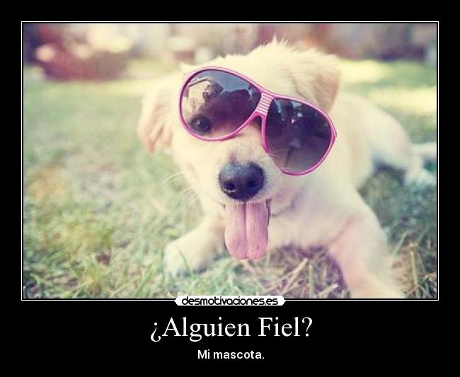 ¿Alguien Fiel? -