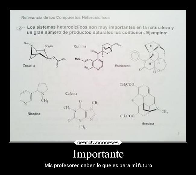 carteles importante profesores futuro desmotivaciones