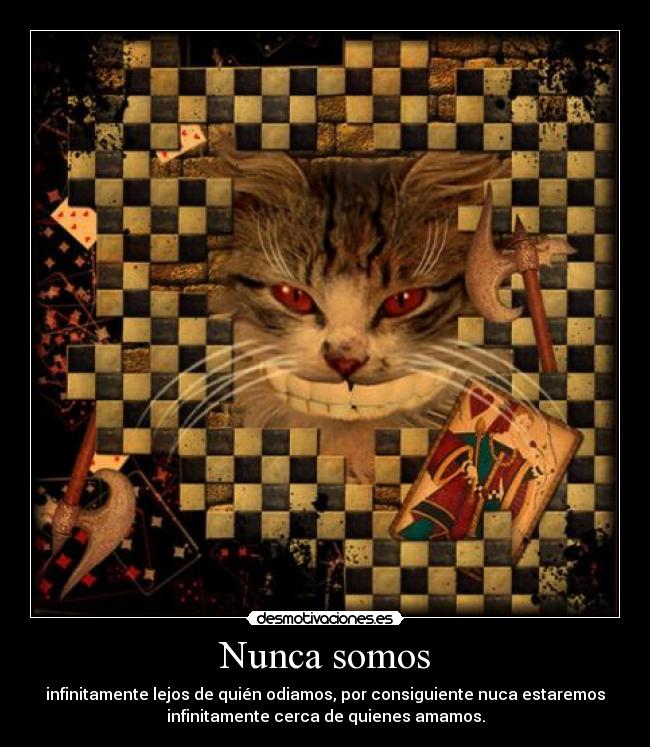 Nunca somos - 