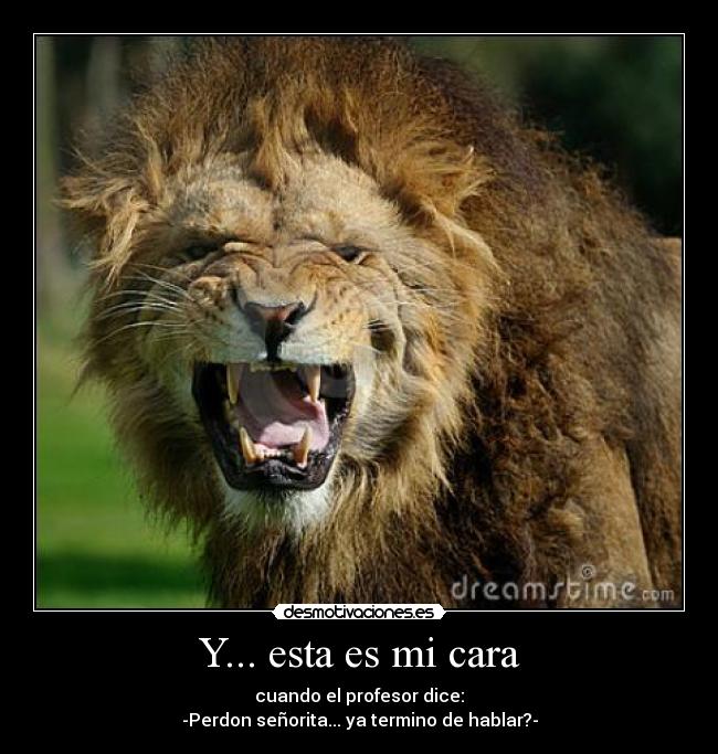 Y... esta es mi cara -