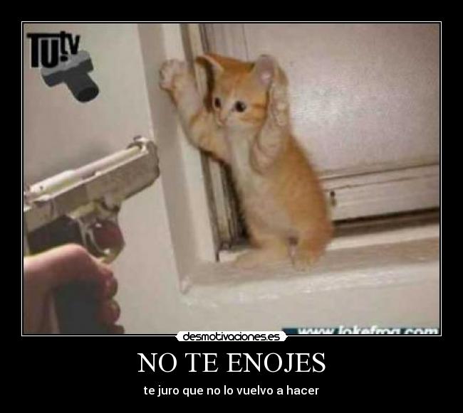 NO TE ENOJES - 