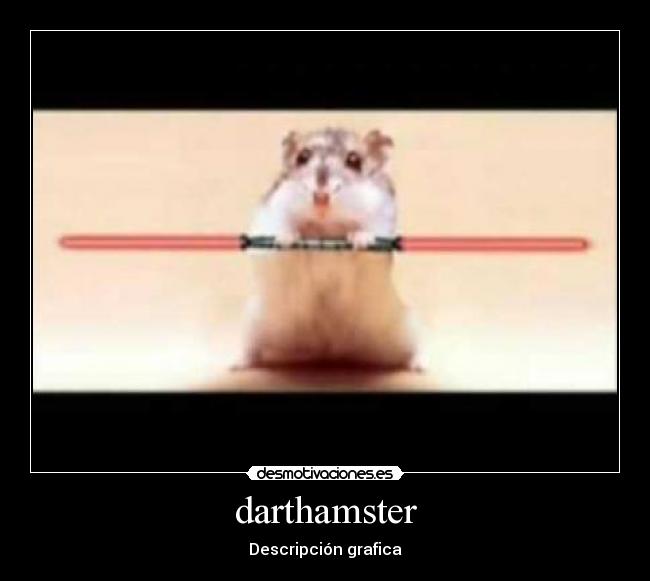 darthamster - Descripción grafica