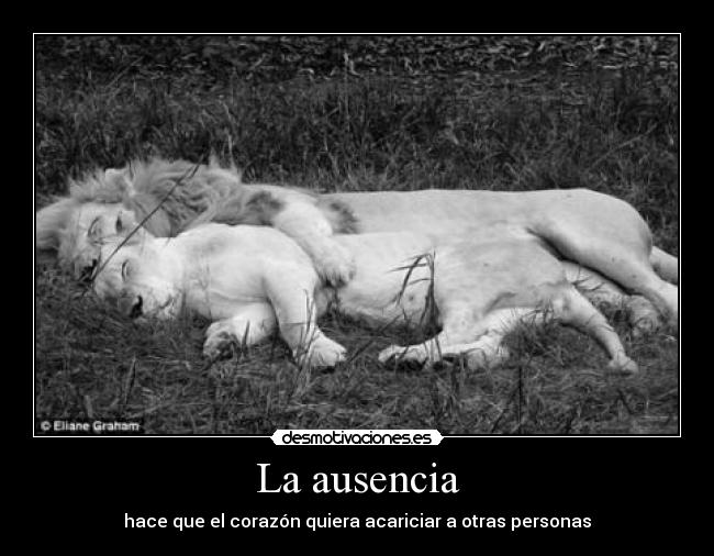 La ausencia -