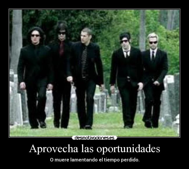 Aprovecha las oportunidades - 