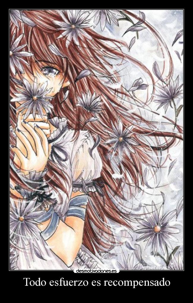 Todo esfuerzo es recompensado -