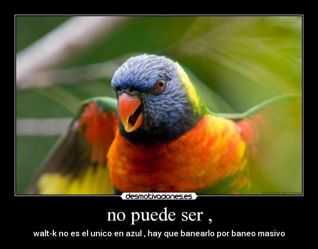 no puede ser , - walt-k no es el unico en azul , hay que banearlo por baneo masivo