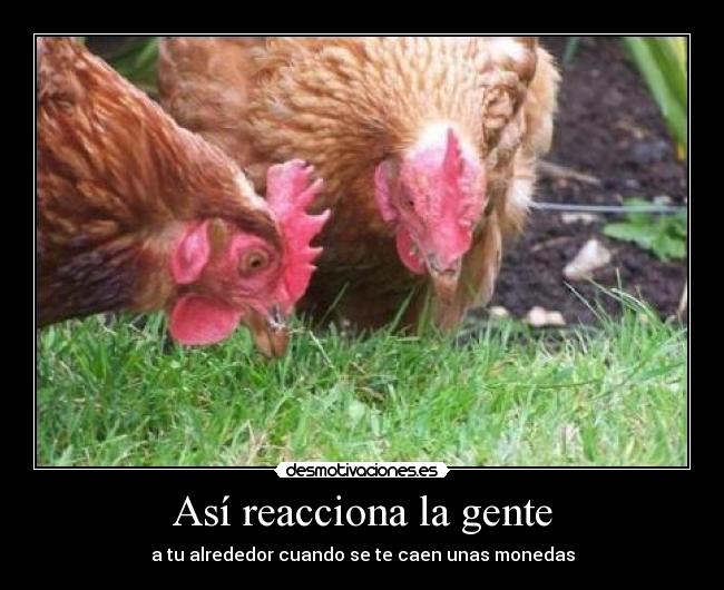 Así reacciona la gente - a tu alrededor cuando se te caen unas monedas