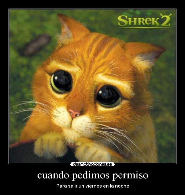 cuando pedimos permiso -