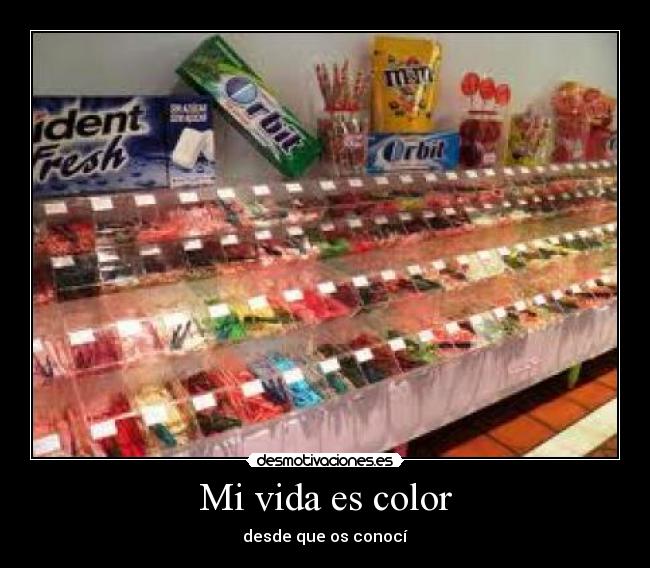 Mi vida es color - 