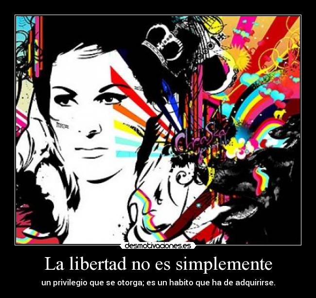 carteles libertad rogertuba apoyando anonymous sopa fbi libertad desmotivaciones