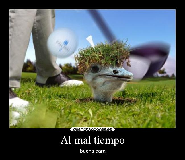Al mal tiempo - buena cara