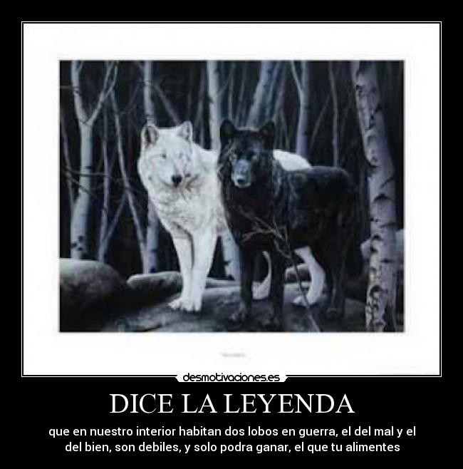DICE LA LEYENDA - que en nuestro interior habitan dos lobos en guerra, el del mal y el
del bien, son debiles, y solo podra ganar, el que tu alimentes