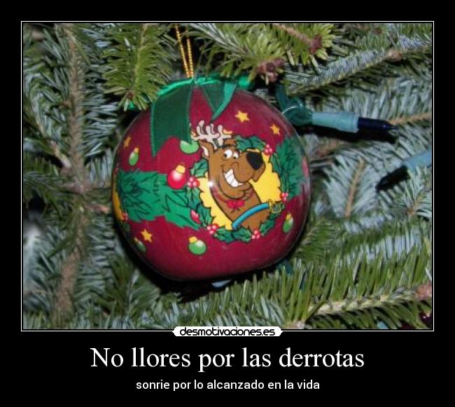 No llores por las derrotas -