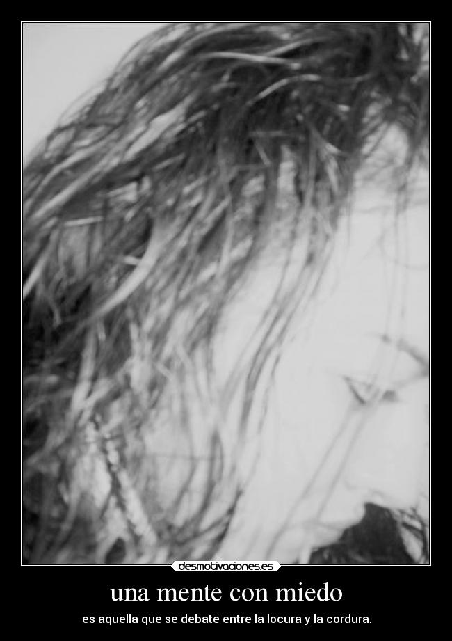 carteles miedo desmotivaciones