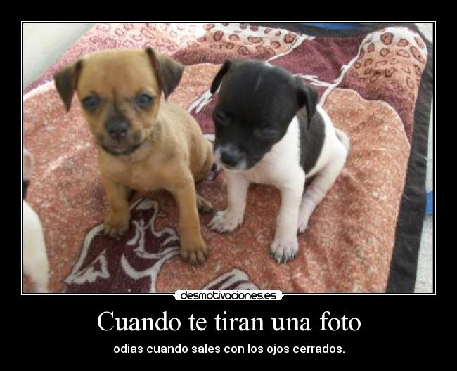 Cuando te tiran una foto - 