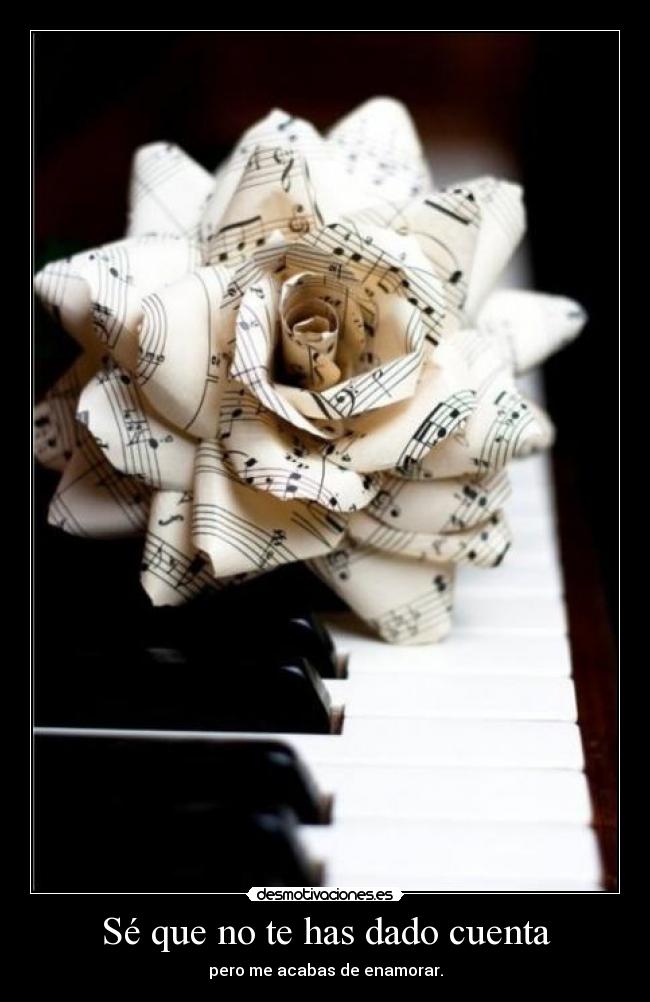 carteles sin comentarios una mariconada como camino desde casa hasta quinto cono desmotivaciones