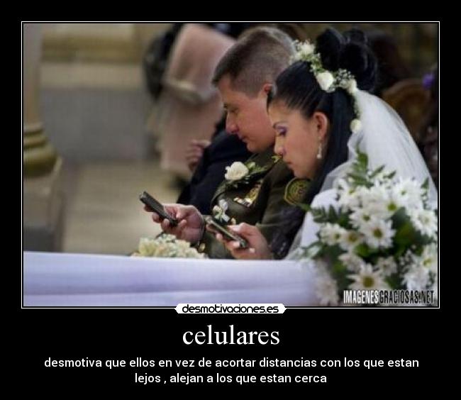 celulares - 