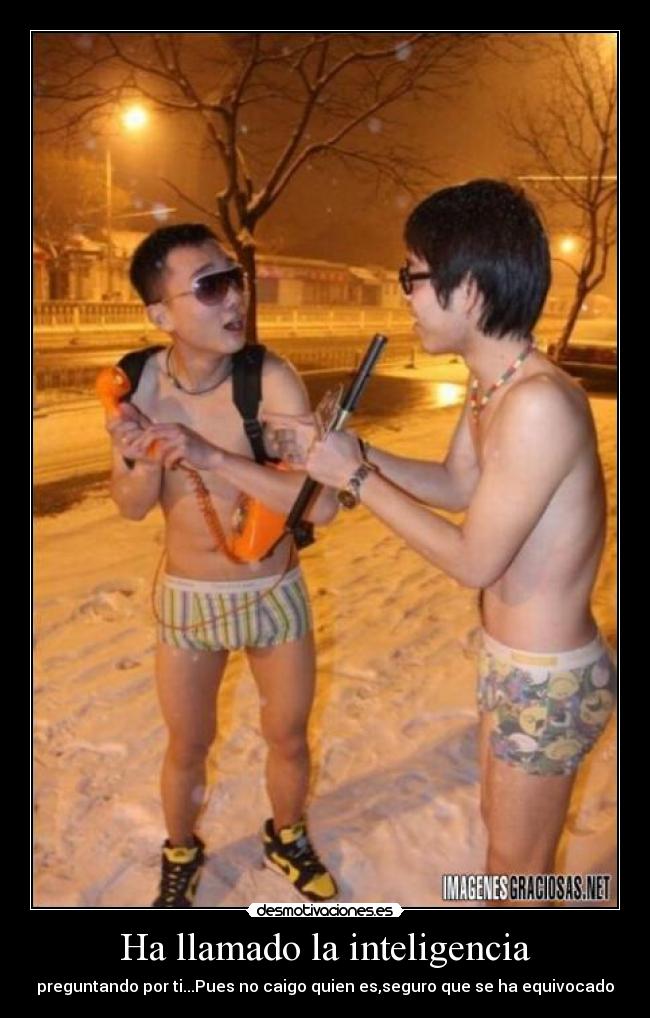 Ha llamado la inteligencia -