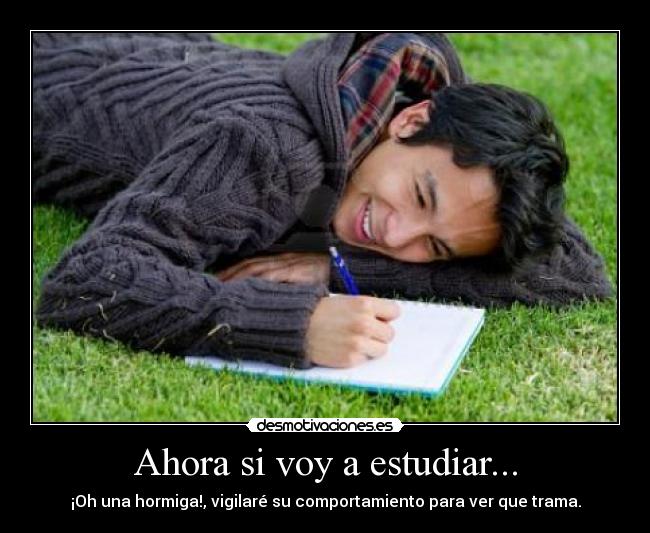 Ahora si voy a estudiar... -