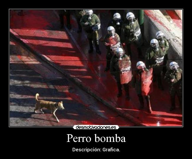 Perro bomba - Descripción: Grafica.