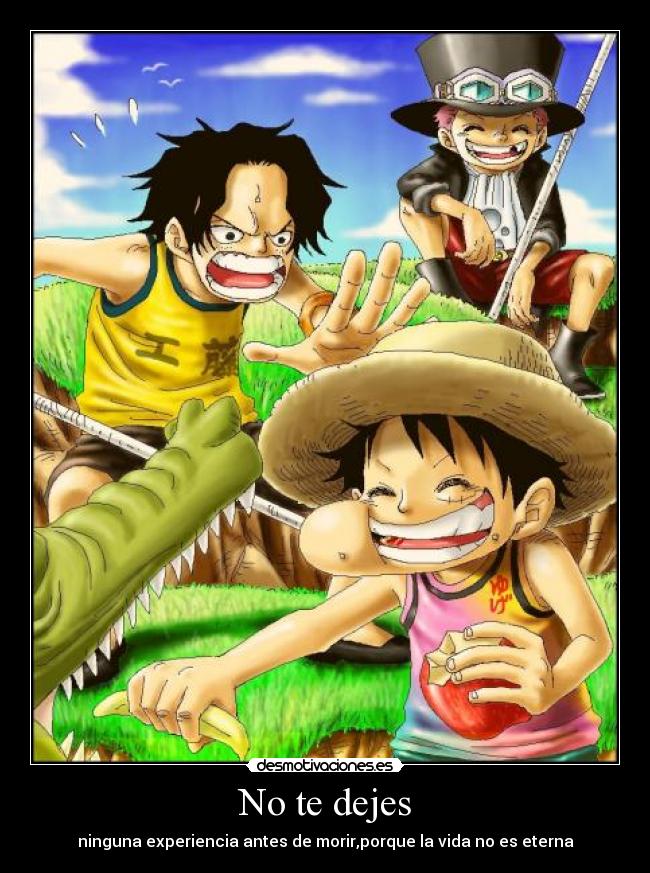 No te dejes - ninguna experiencia antes de morir,porque la vida no es eterna