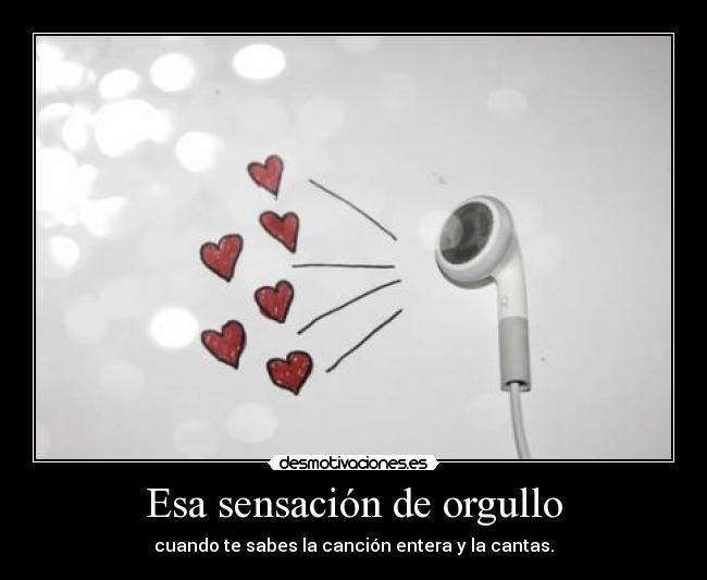 Esa sensación de orgullo - 