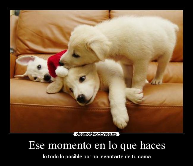 Ese momento en lo que haces - lo todo lo posible por no levantarte de tu cama